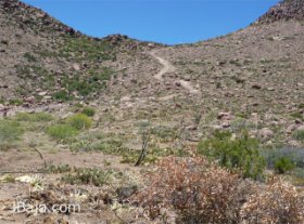 06 下から見上げると落ちてくるよう