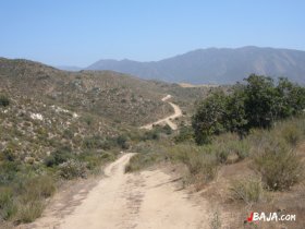 04 景色の良い道が続く