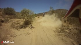 19 ちょっとフカフカ（動画）