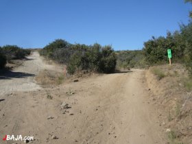 21 ここの分岐は左へ