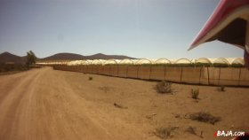 06 ビニールハウス（動画）