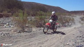 10 河川敷が続く（動画）