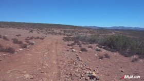 13 広大な景色（動画）