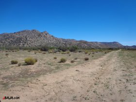 15 岩山を見晴らす平原