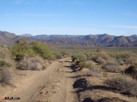 20 遙か先を見渡す