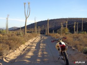 26 シリオが現れる