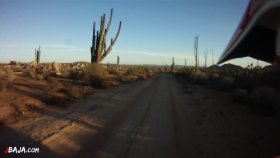 28 サボテン林を抜ける（動画）