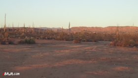 29 レースコース分岐（動画）